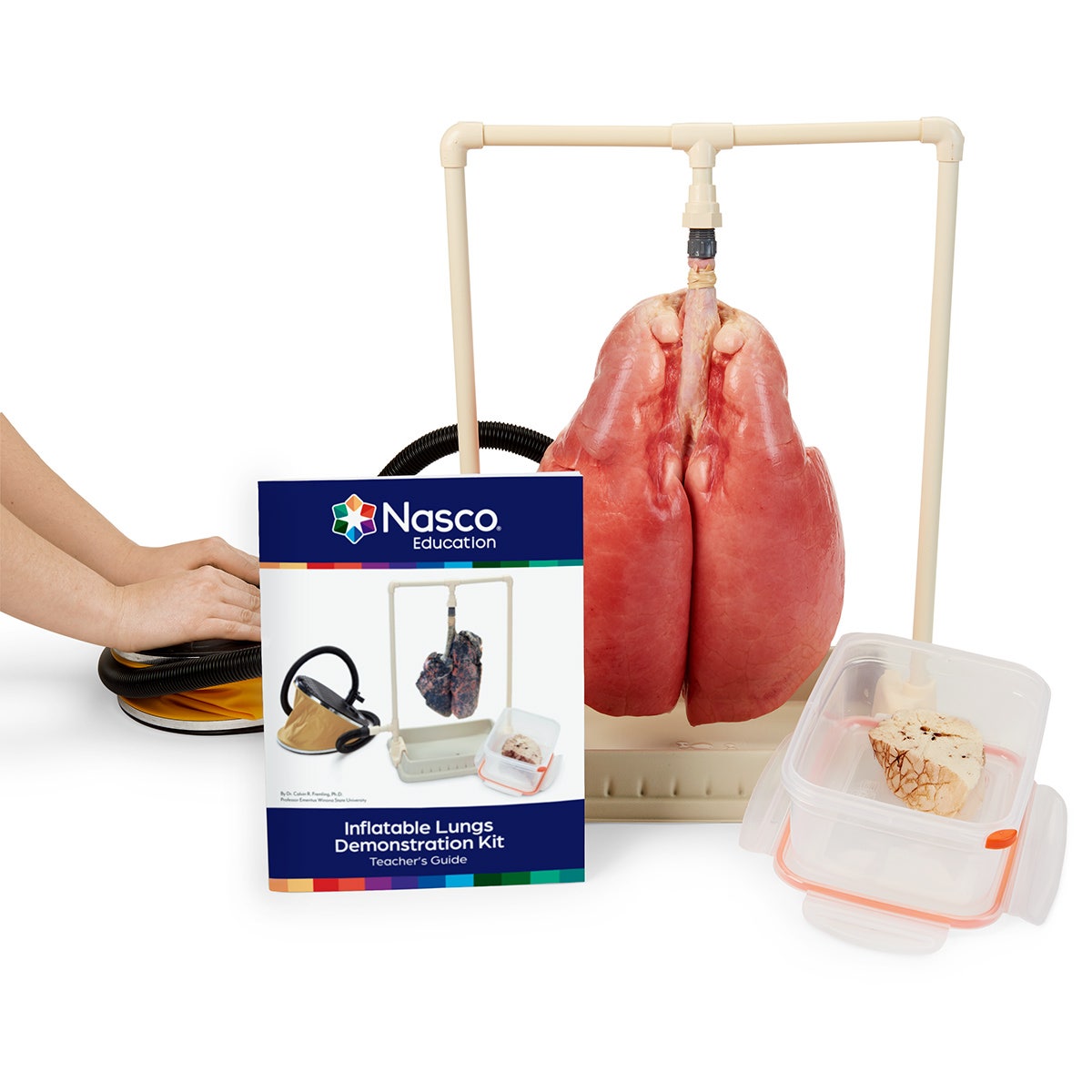 LS03765-Nasco Inflatable Lung Kit