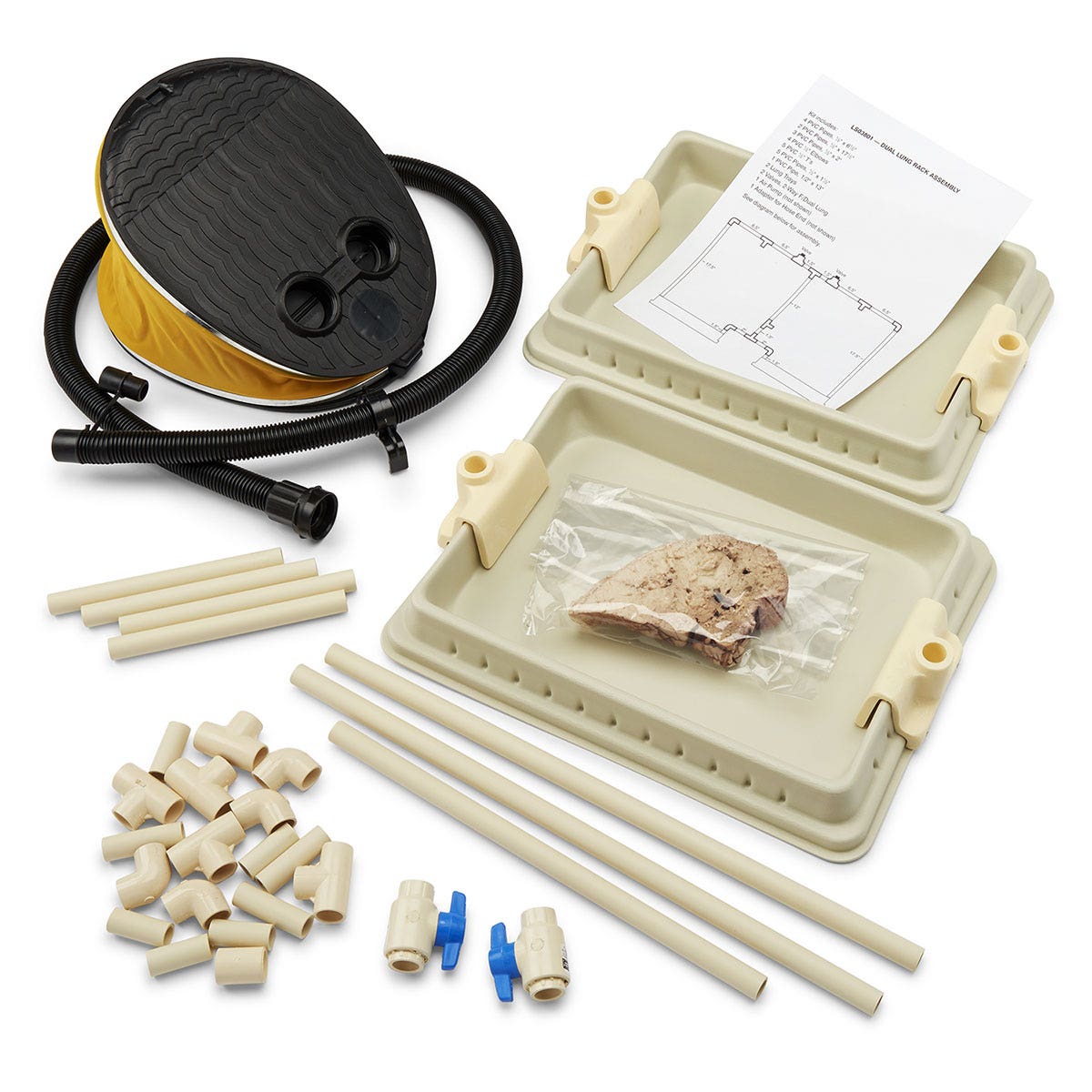 LS03801-Nasco Dual Lung Rack Assembly