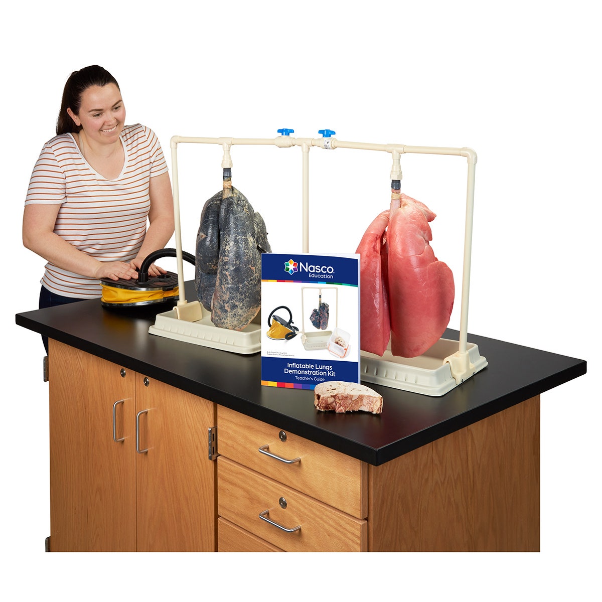 LS03802-Nasco Inflatable Lungs Comparison Kit, Side by Side Comparison