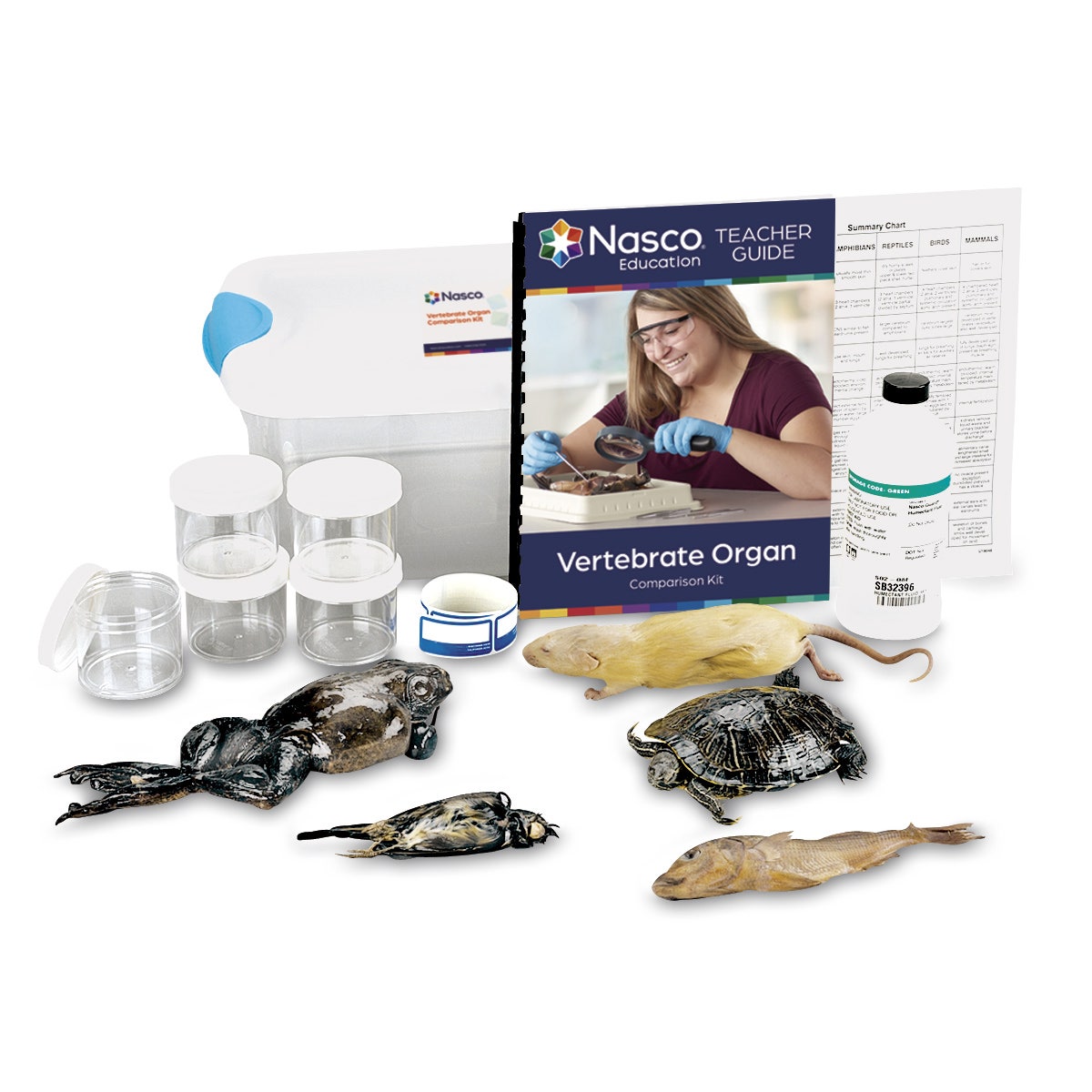 LS03806-NASCOGuard®, Vertebrate Organ Comparison Kit, Preserved