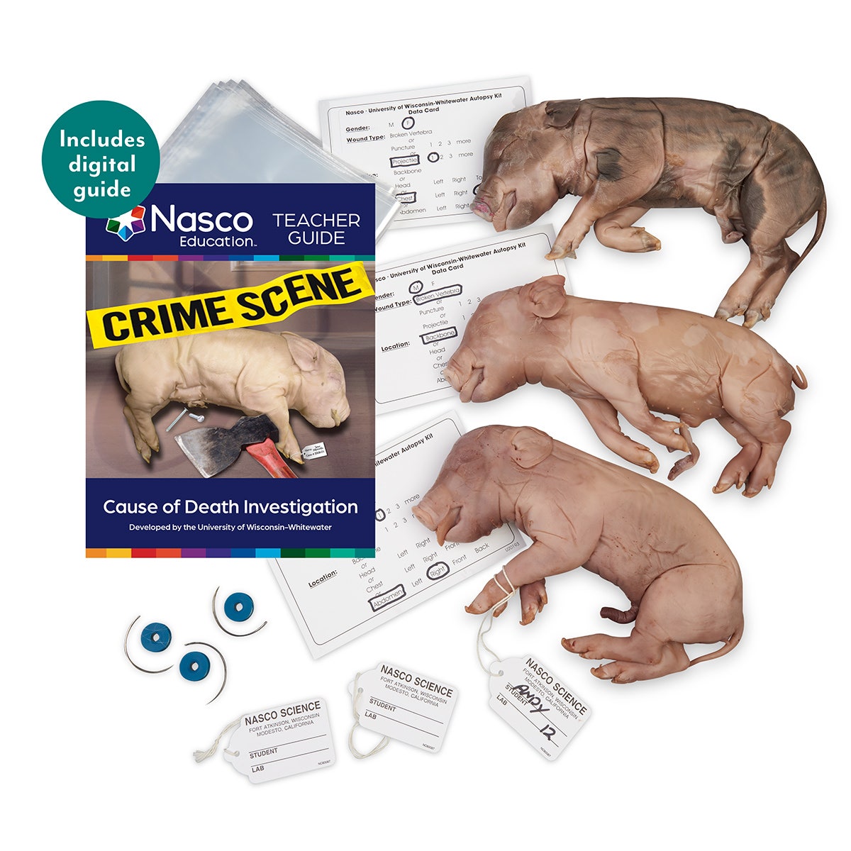 LS03825-Nasco Preserved Cause of Death Autopsy Investigation Kit