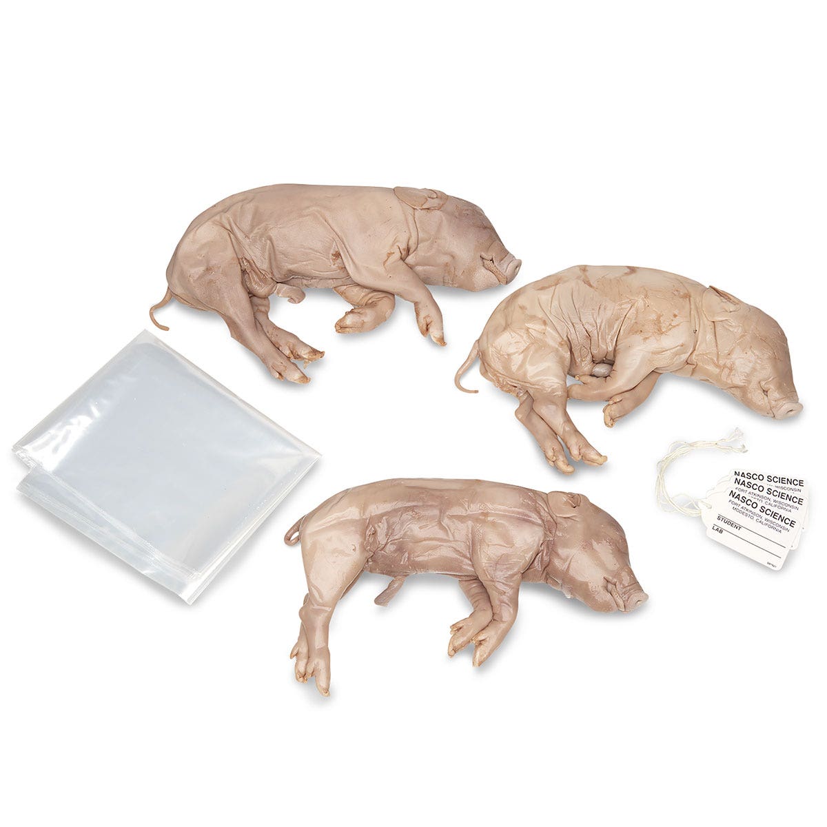 LS03825(CB)-Nasco Cause of Death Autopsy Investigation - Replacement Kit, Preserved