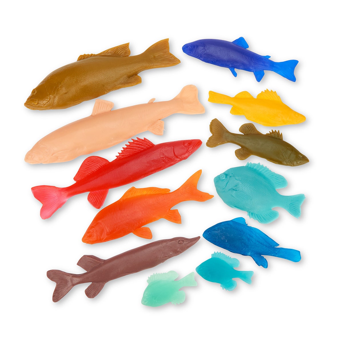 NE20758-Gyotaku Freshwater Fish Set