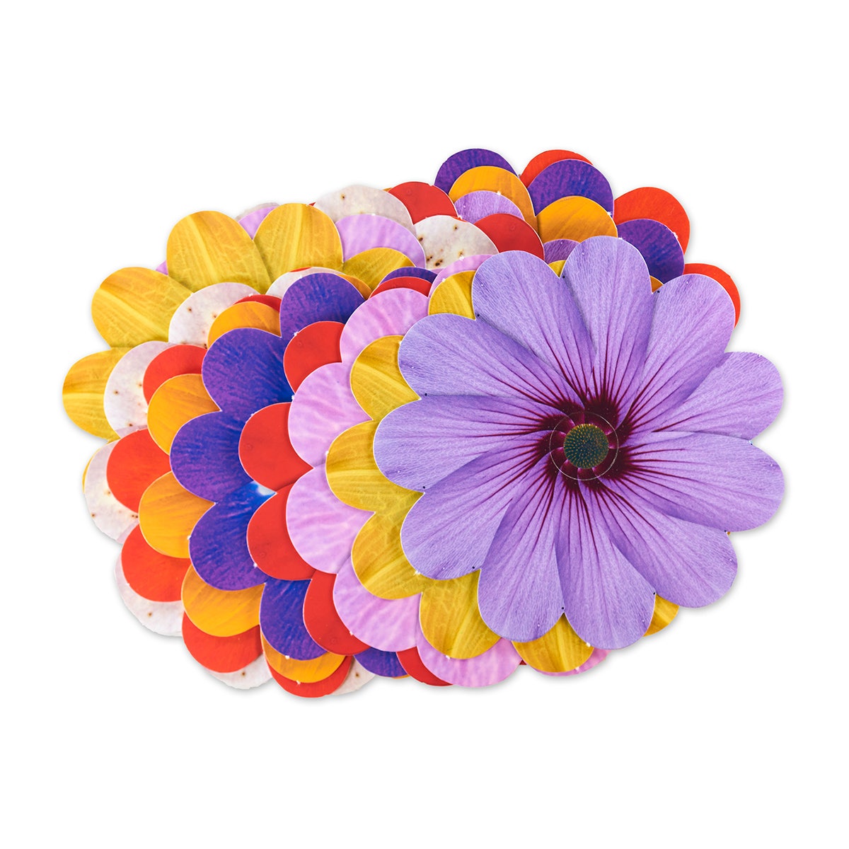 NE20781-Roylco® Take-Home Weaving Flowers