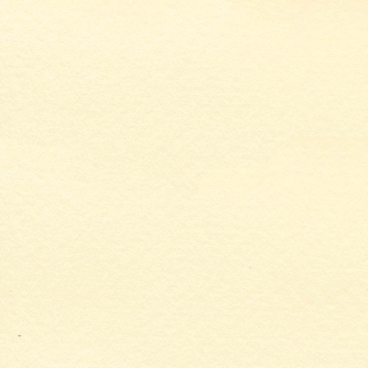 NE20803(D)-Bee Paper® Pastel Paper - Cream - Pack of 10