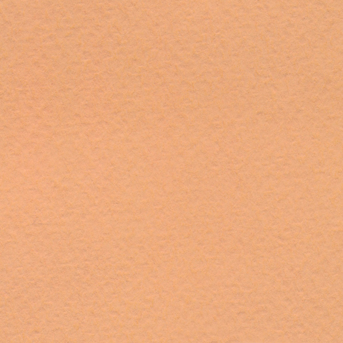 NE20803(F)-Bee Paper® Pastel Paper - Tan - Pack of 10