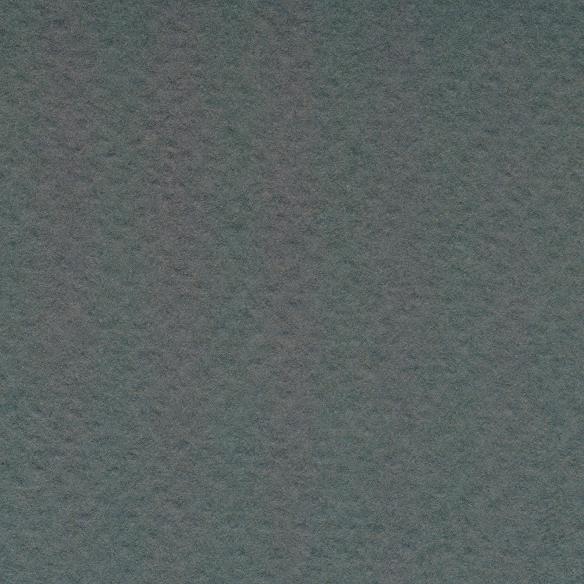 NE20803(L)-Bee Paper® Pastel Paper - Charcoal - Pack of 10