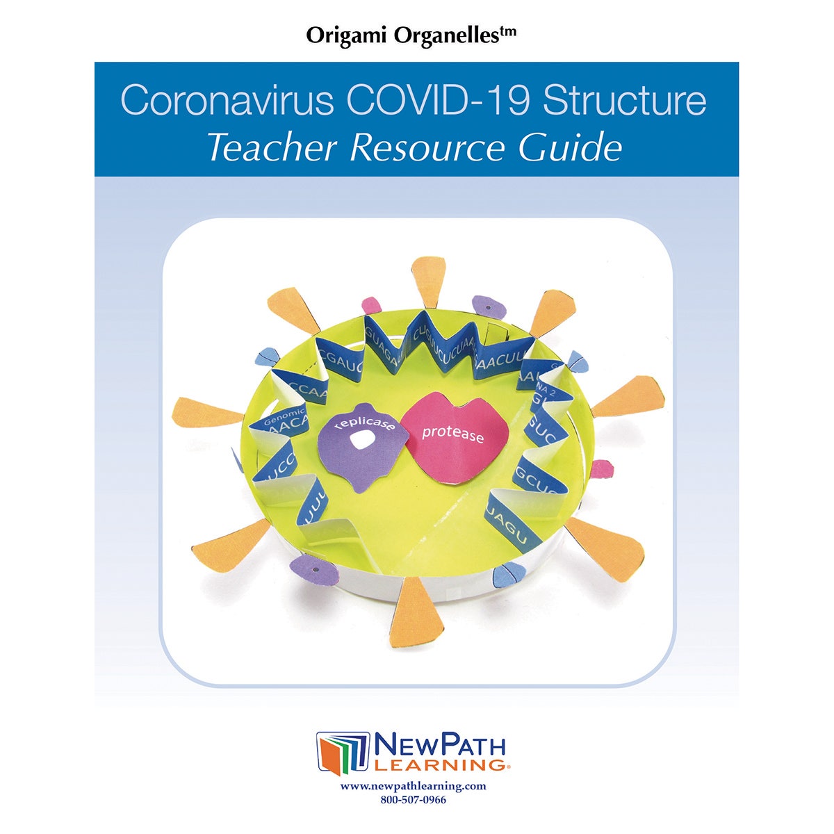 NE30047-Coronavirus Structure 3D Model Kit