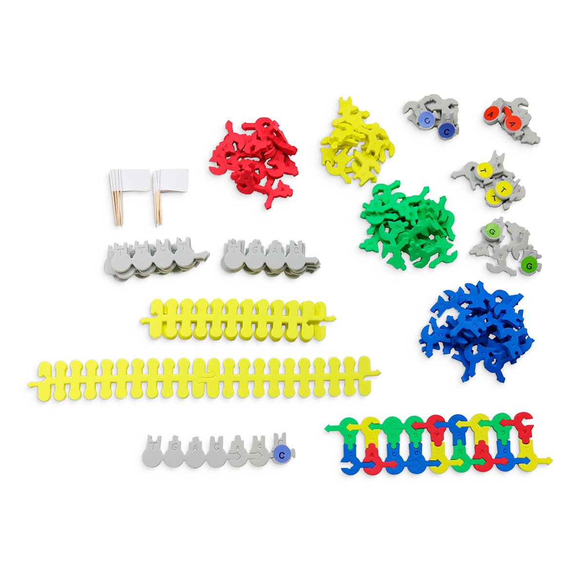 NE30094-Biotechnology Kit