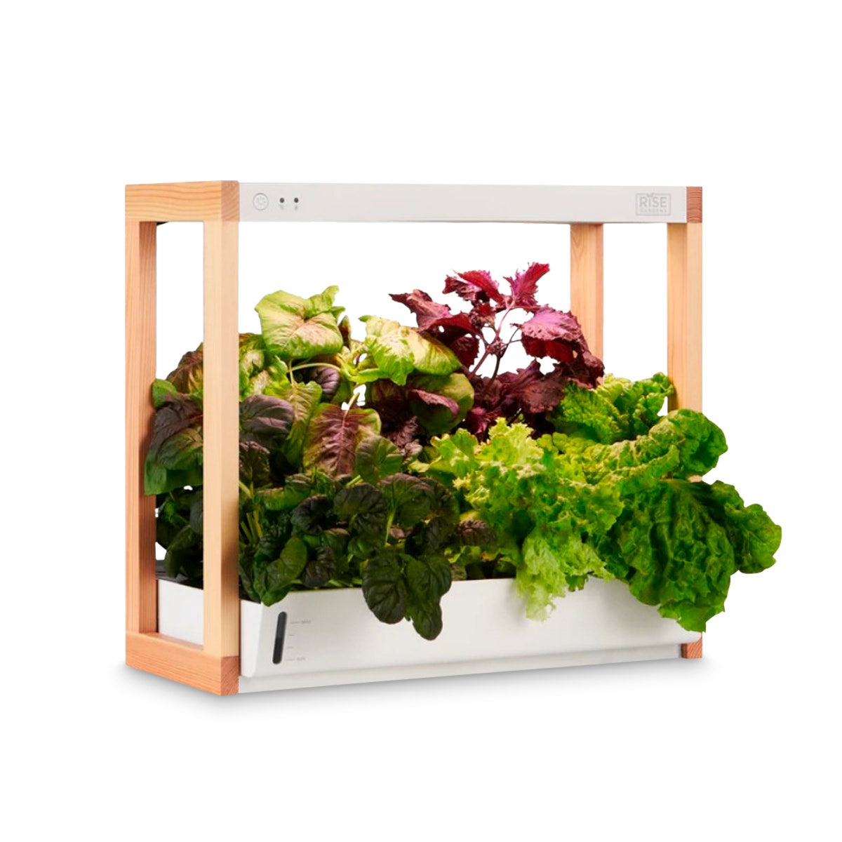 NE30457-Personal Rise Garden Hydroponic System