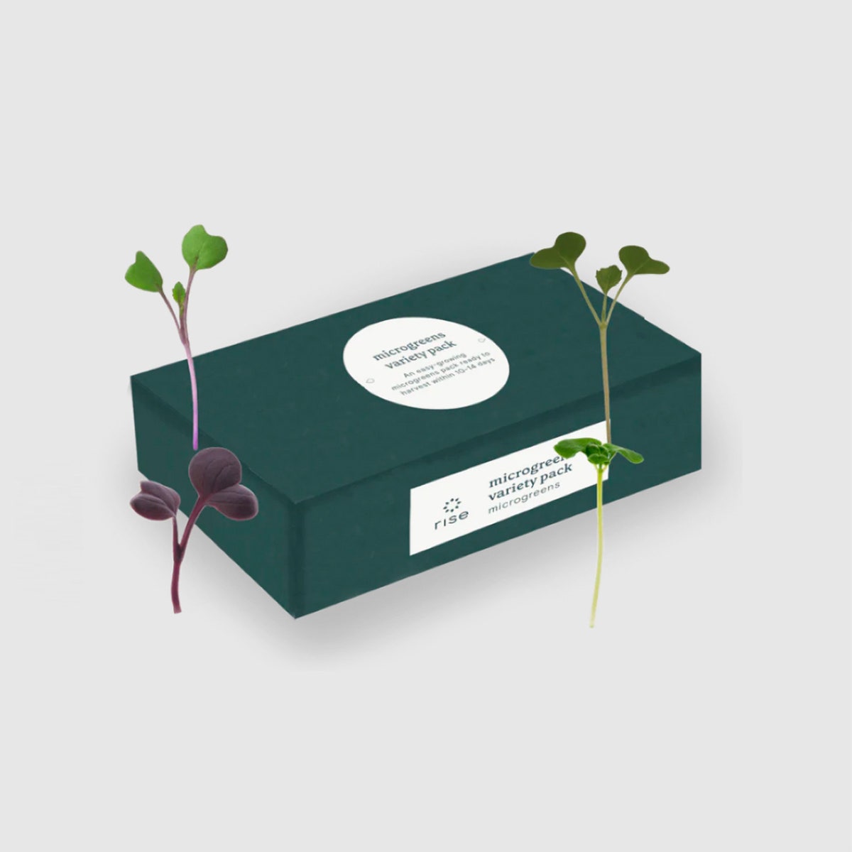 NE30462-Microgreens Variety Seed Pod 12-Pack for Rise Garden