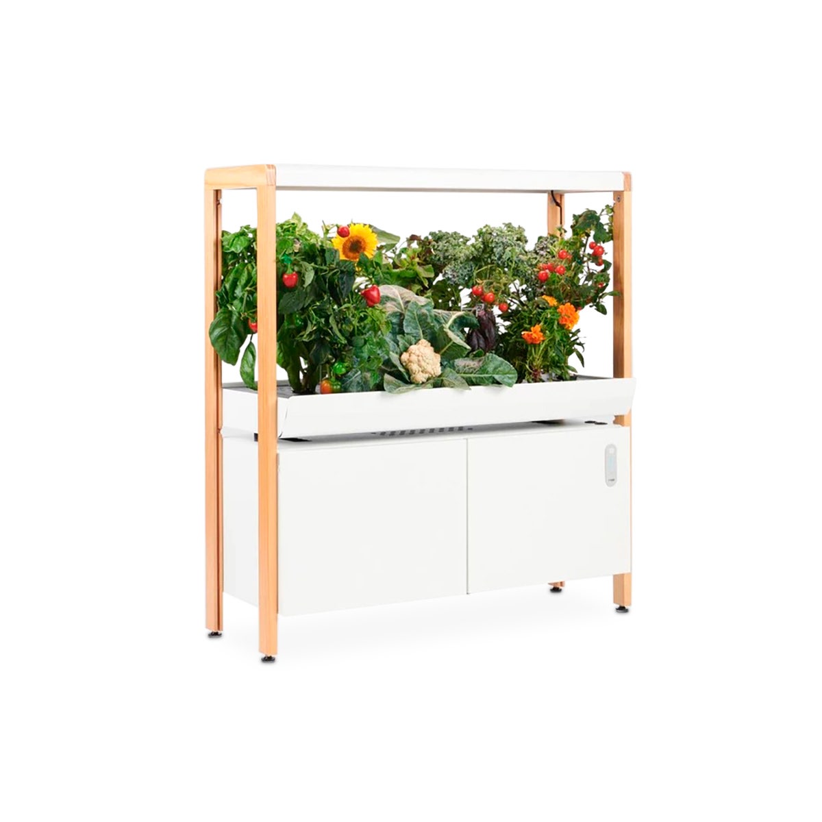X0000NE30474-The Rise Garden Hydroponic System - Single Tier
