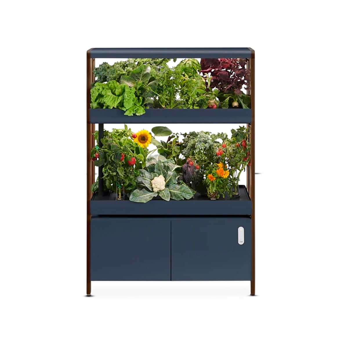 X0000NE30478-The Rise Garden Hydroponic System - Double Tier