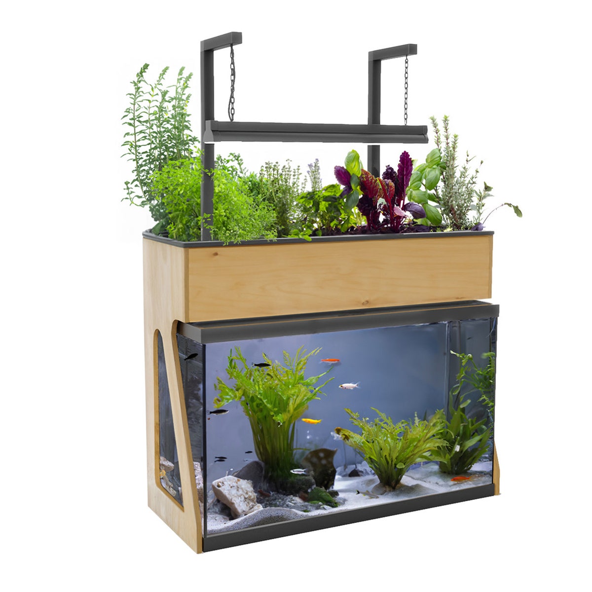 NE30569-AquaSprouts® Garden - 29 Gallon 
