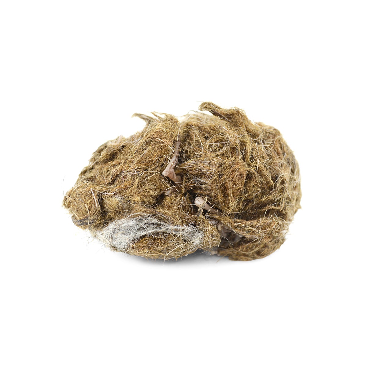 X0000NE30583-Eisco Simulated Owl Pellets