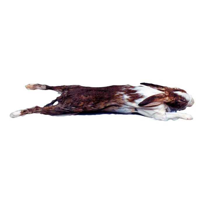 NE30841-Frey Scientific Choice Preserved Rabbit, 14 to 19 Inches, Vacuum Sealed