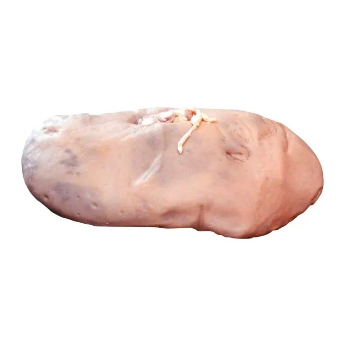 NE30849-Frey Scientific Choice Preserved Pig Kidney, Double Injected, Vacuum Sealed