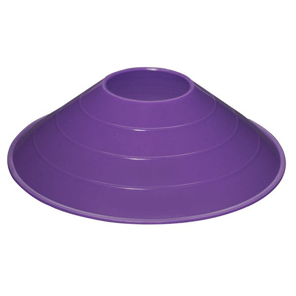 PE01886-Saucer Field Cone - Purple