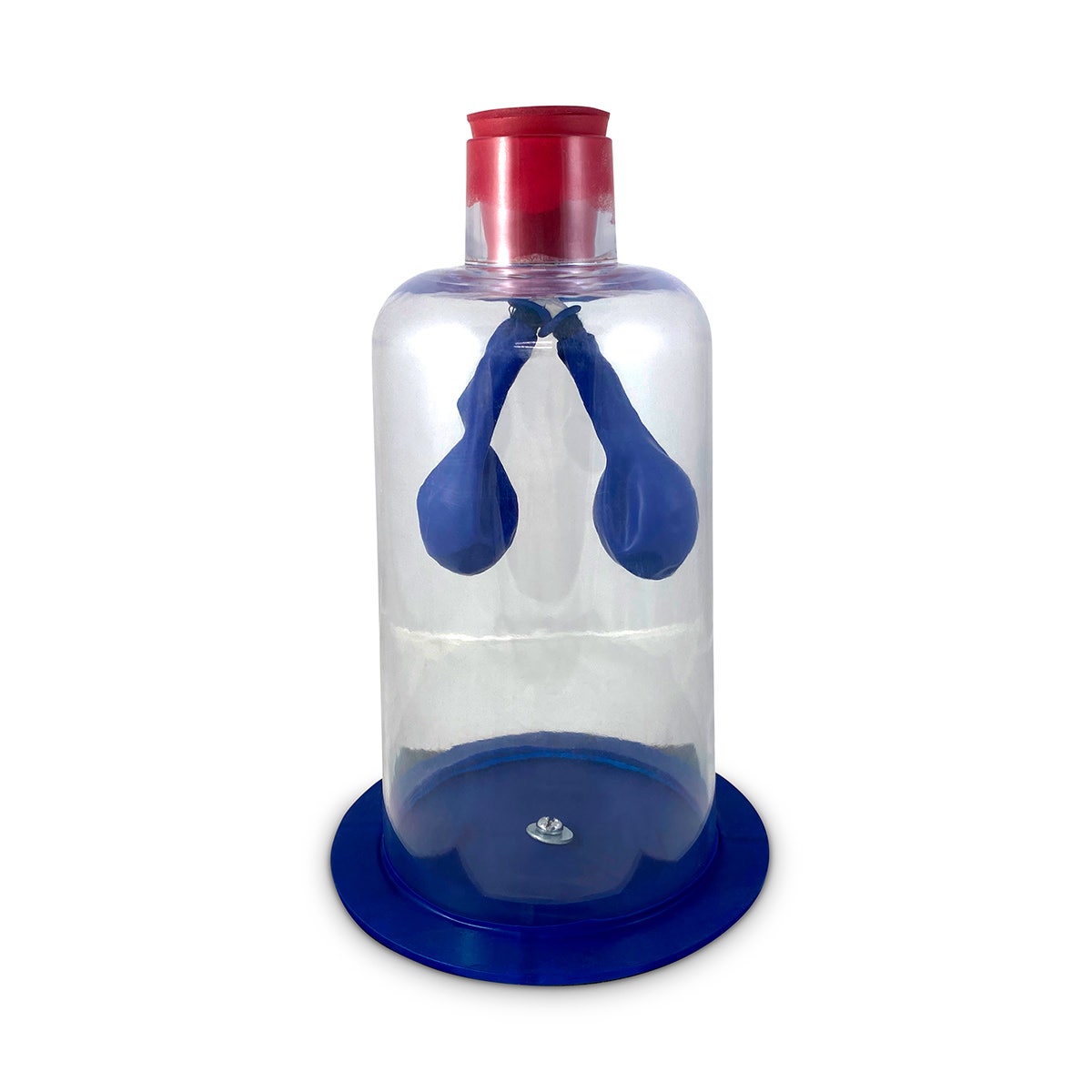 S07746-Lung Demonstration Apparatus