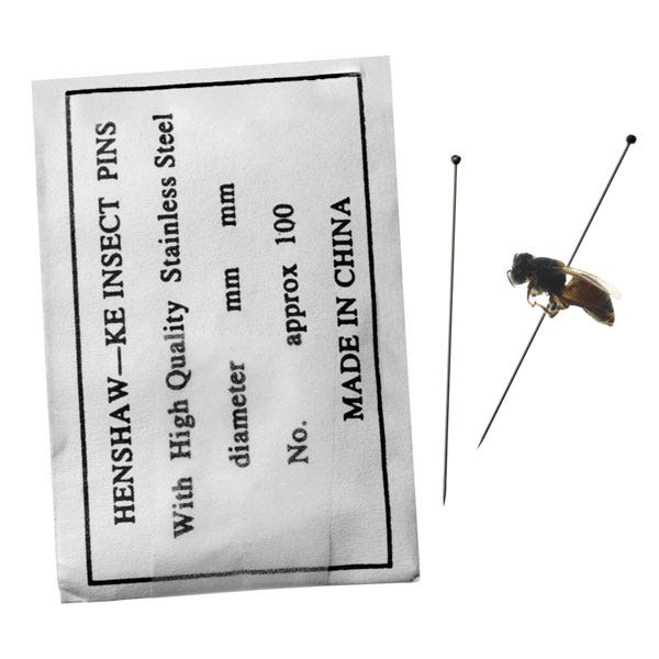 X0000S07825-Insect Pins - Pack of 100