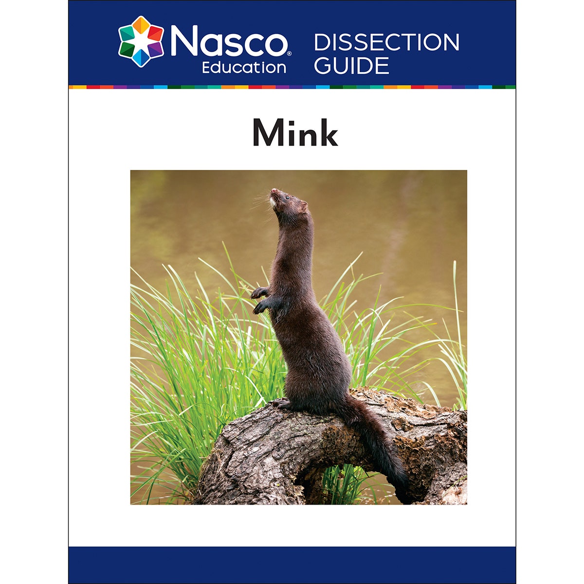 S08849-Guide to the Dissection of the Mink