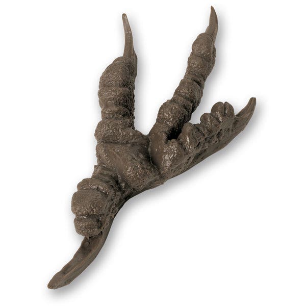 X0000SA00398-Nasco Animal Track Replicas