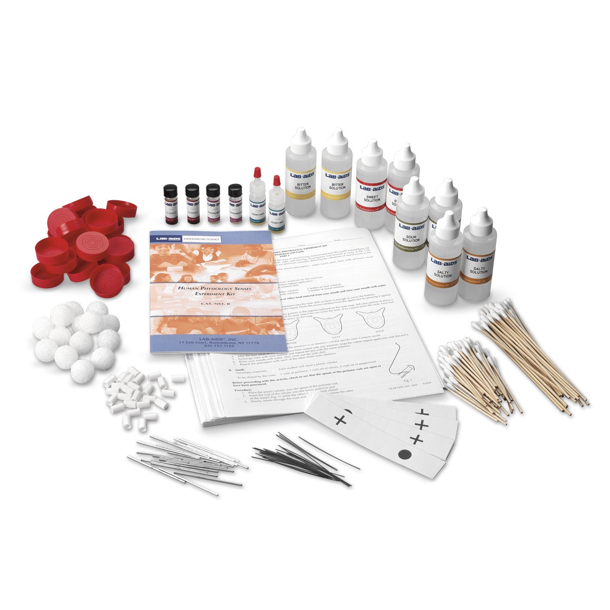 SA01213-Human Senses - Physiology Experiment