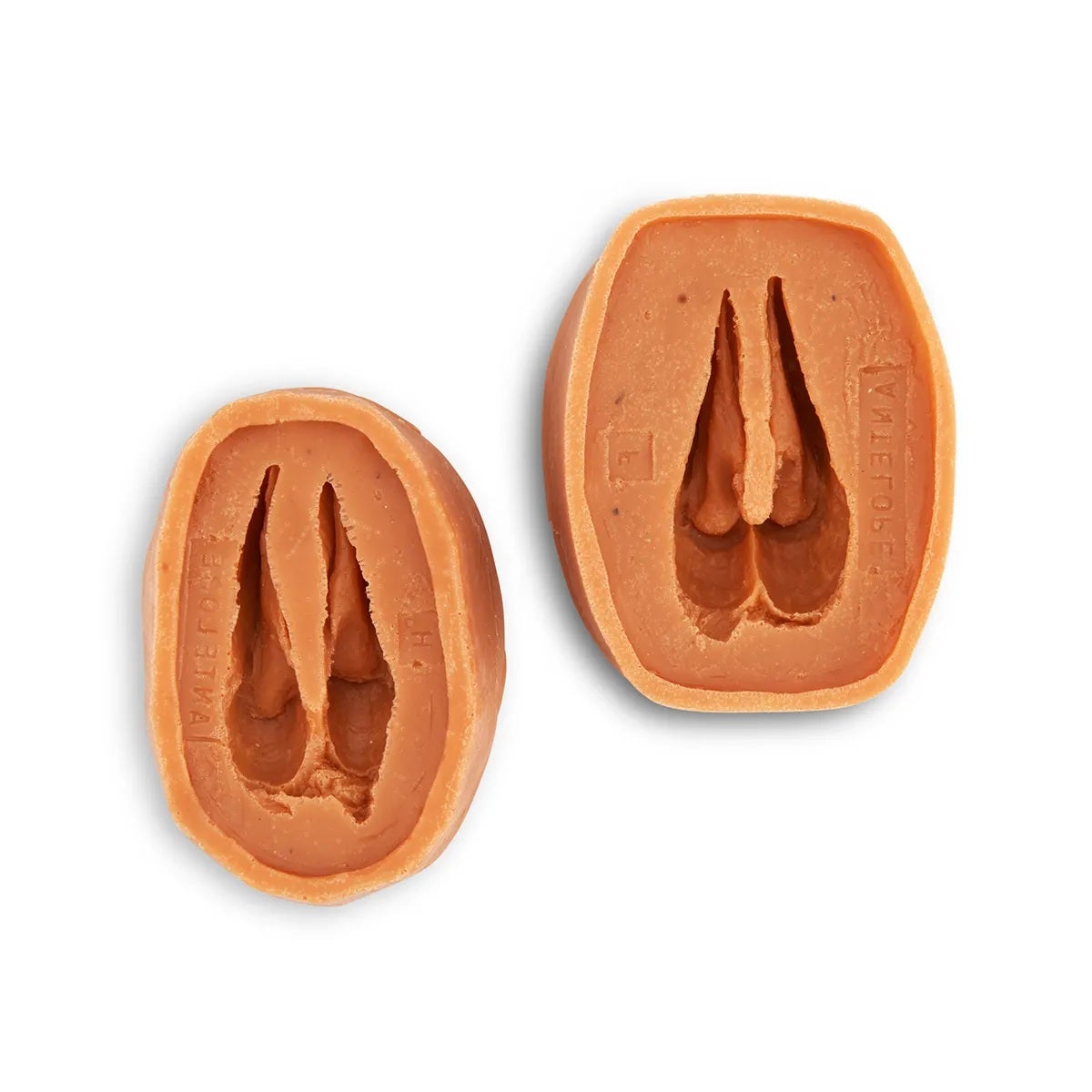 X0000SA05424-Nasco Animal Track Molds