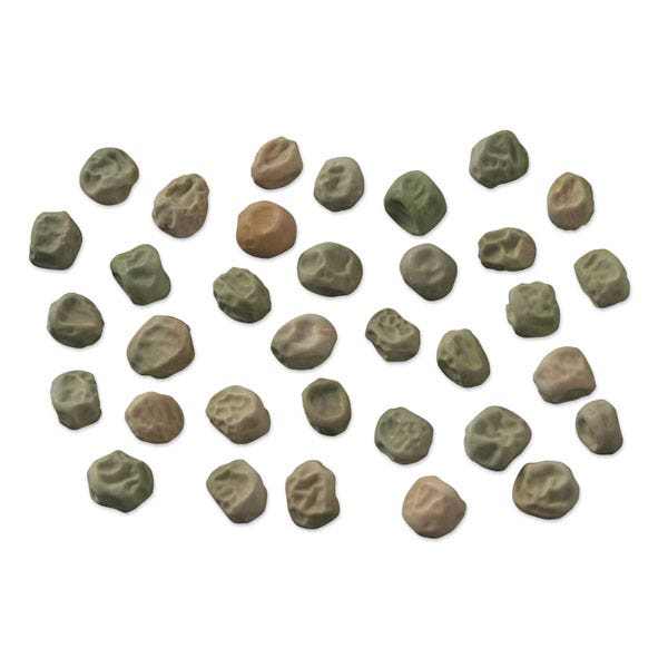 SA05730-Green Arrow Pea Seeds for Germination - 14 g Pkg.