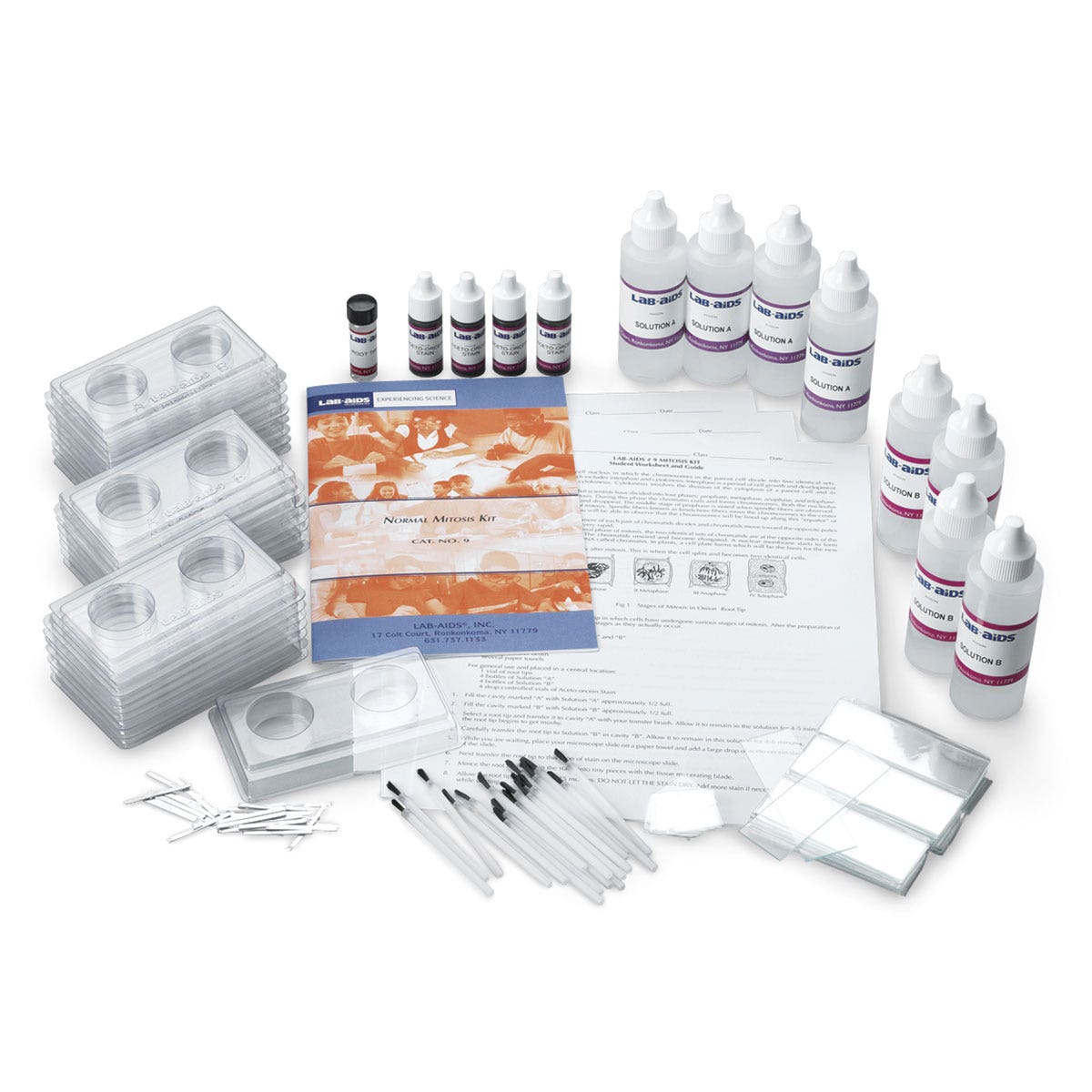 SA08203-Normal Mitosis