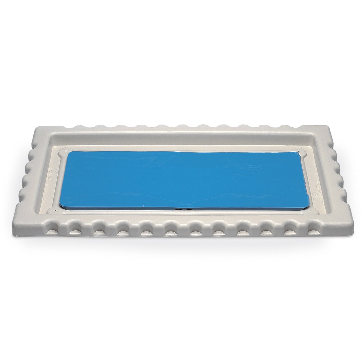 SB07288-Nasco Large Dissection Tray with Disecto Flex-Pad