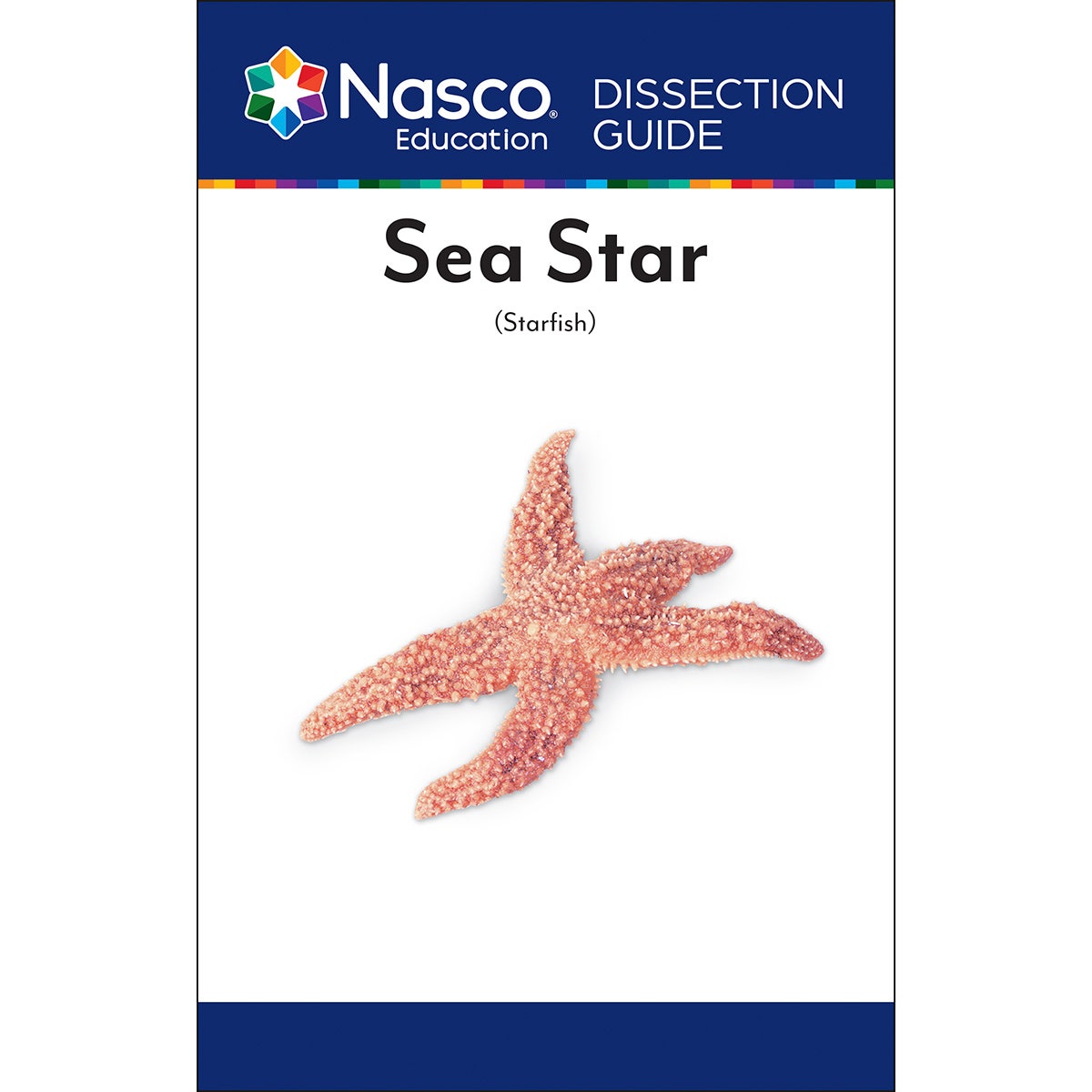 SB07314-Sea Star (Starfish) Dissection Guide