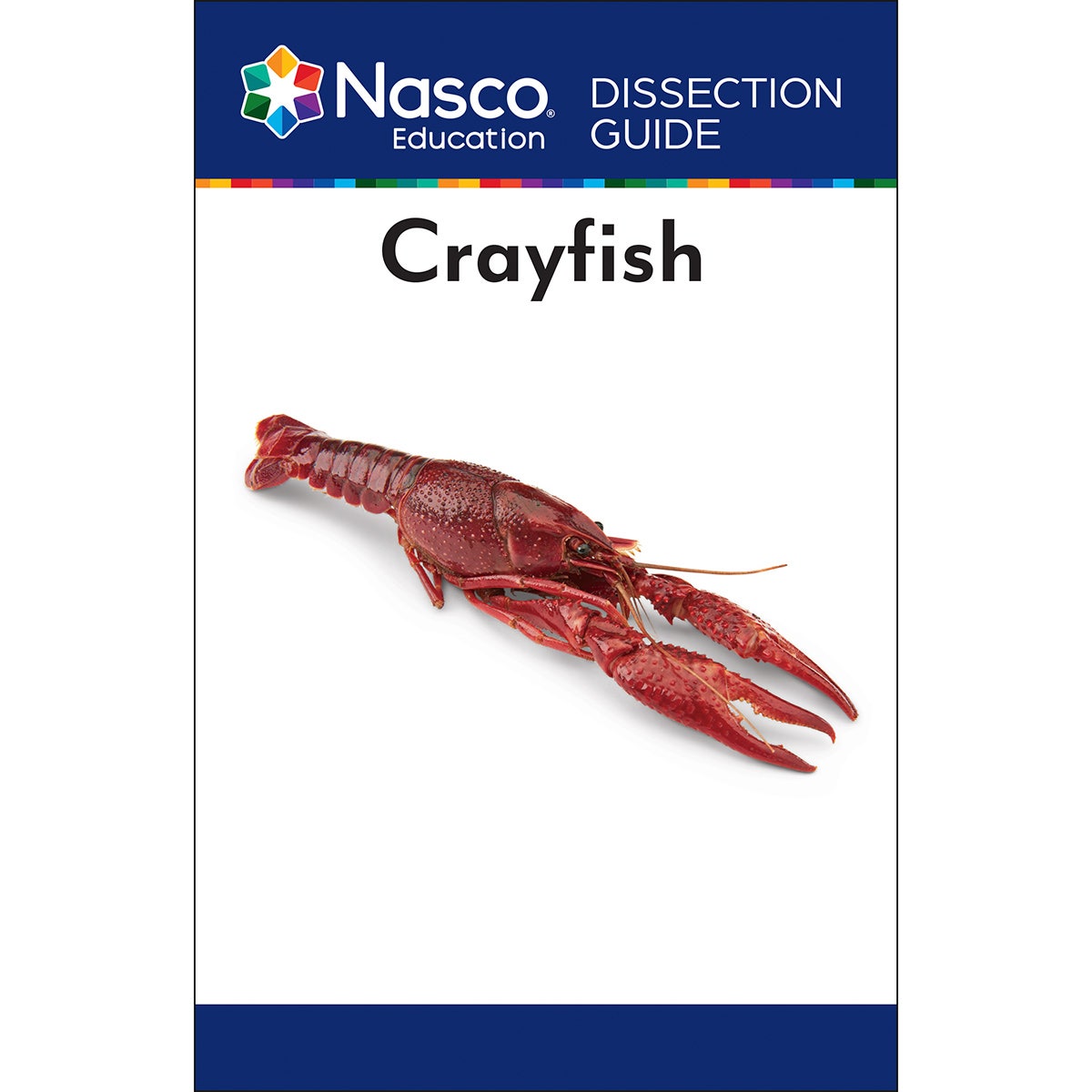 SB07315-Crayfish Dissection Guide