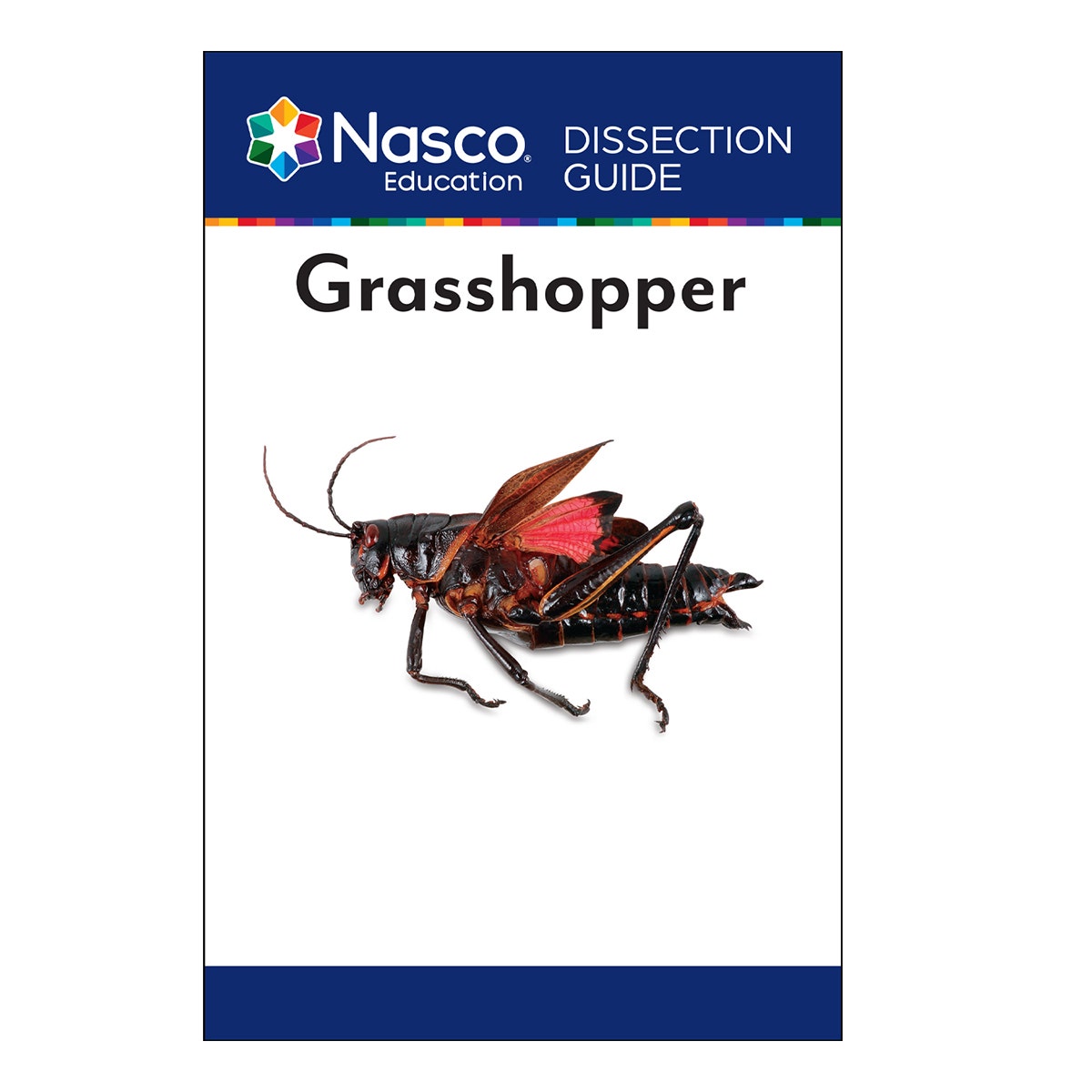 SB07317-Grasshopper Dissection Guide