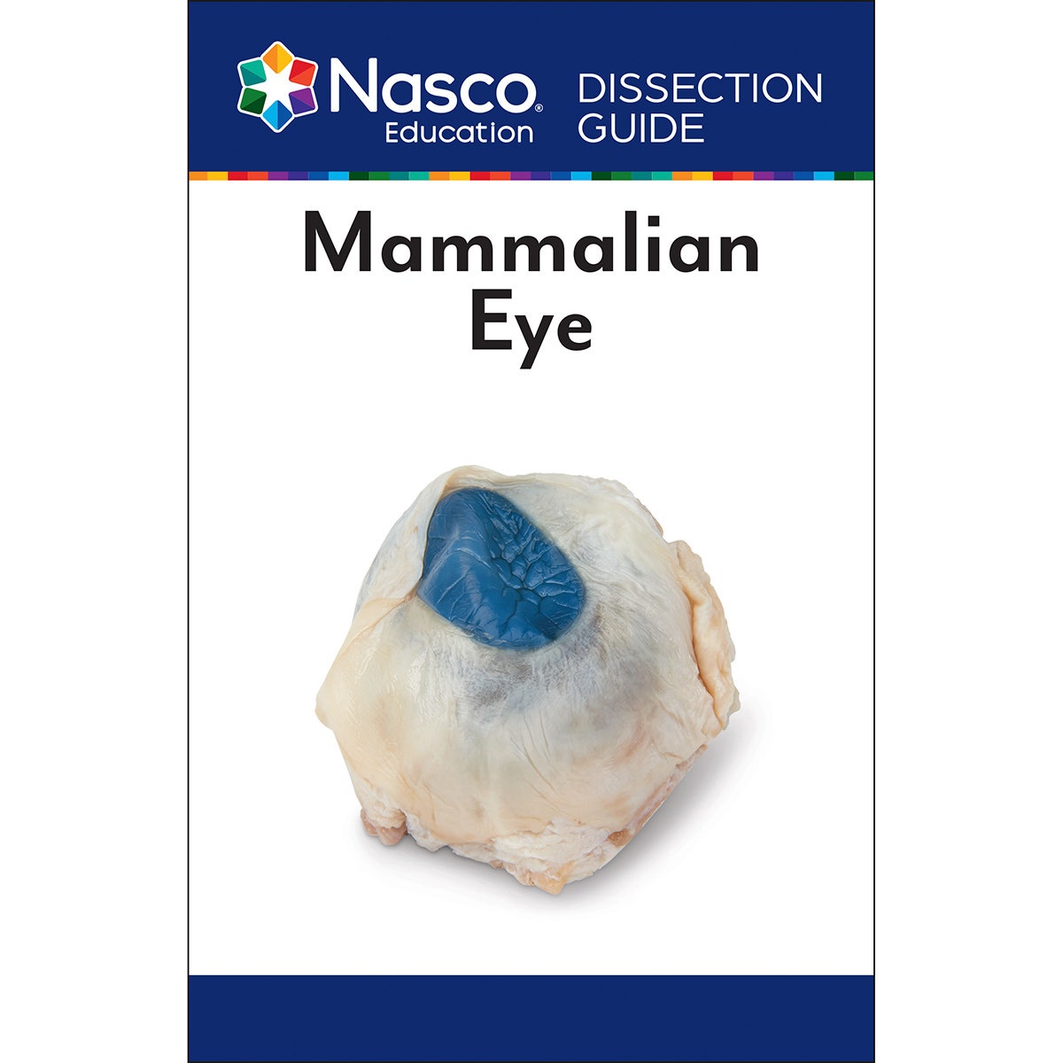 SB07318-Student Dissection Guides - Eye