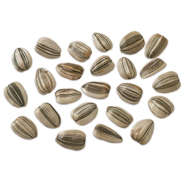 SB07340-Grey Stripe Sunflower Seeds for Germination