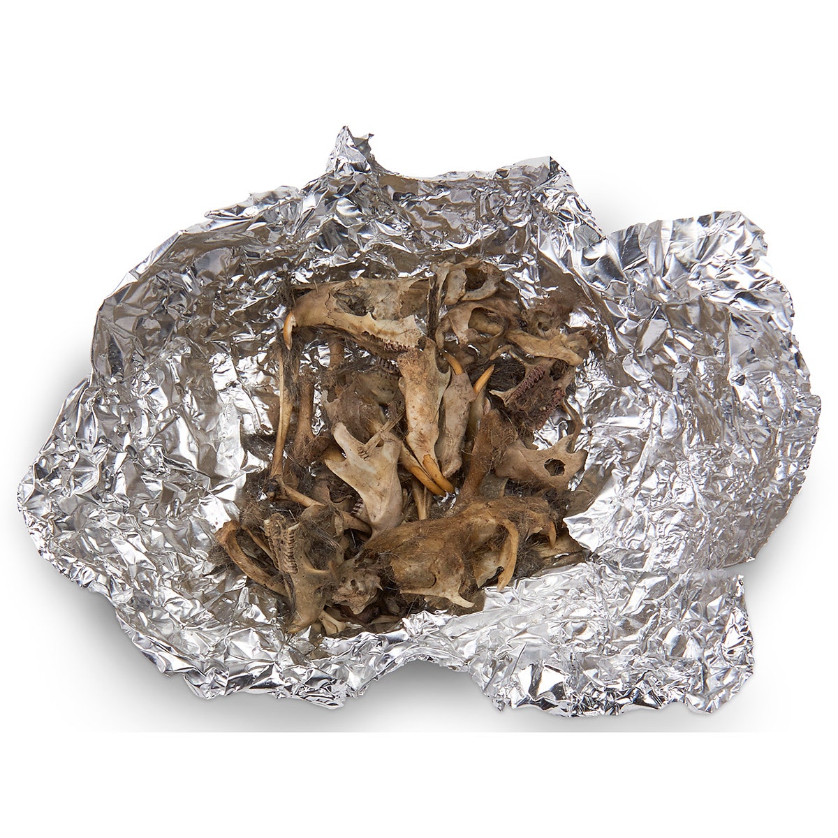 X0000SB09759-Nasco Individual Owl Pellets