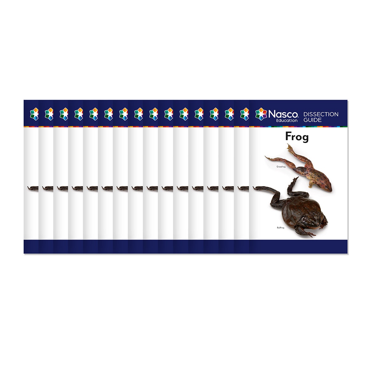 SB10258-Frog Dissection Guide