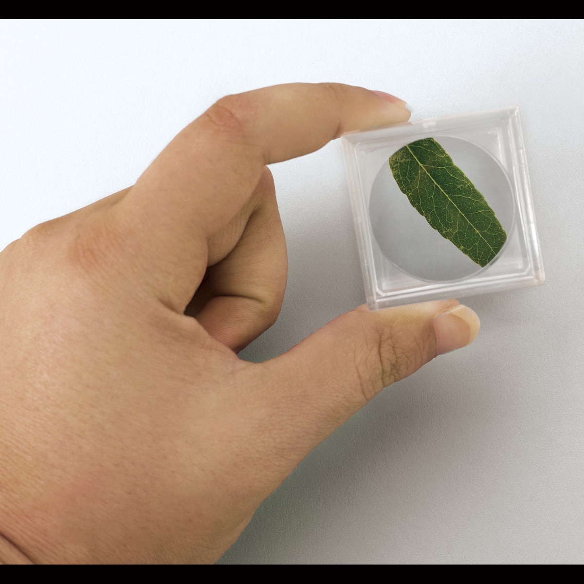 SB10305-Large Acrylic Magnifier Box