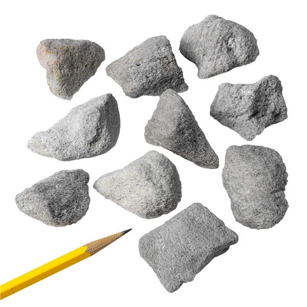 SB10642-Pumice (Gray to White) - Bag of 10 (3 cm x 4 cm Specimens)