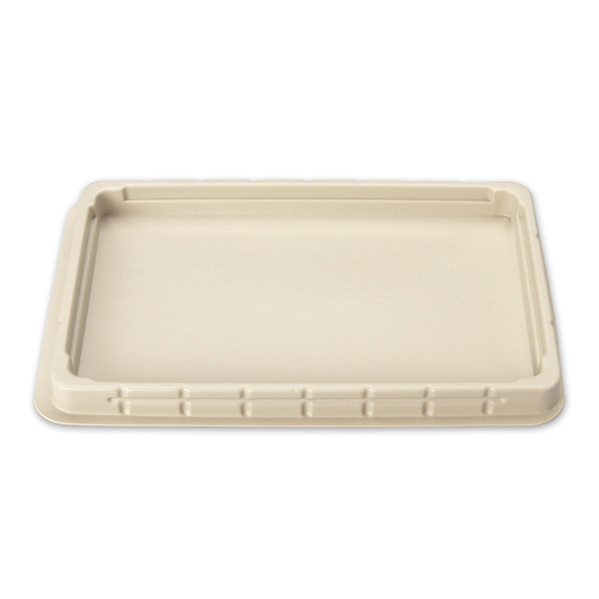 SB11667-Small Basic Dissection Pan
