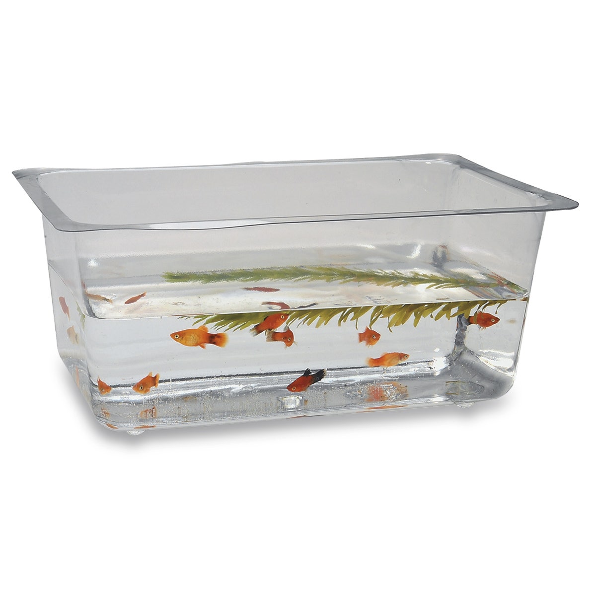 X0000SB12198-Nasco Flex-Tank Only