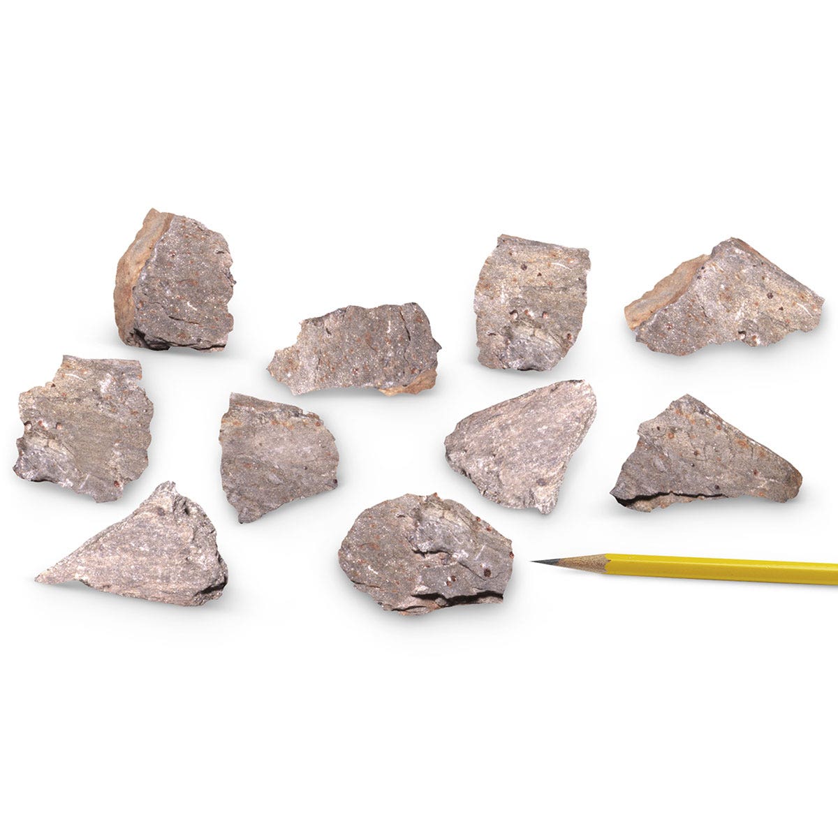 SB14251-Schist (Garnet) - Bag of 10 (3 cm x 4 cm Specimens)