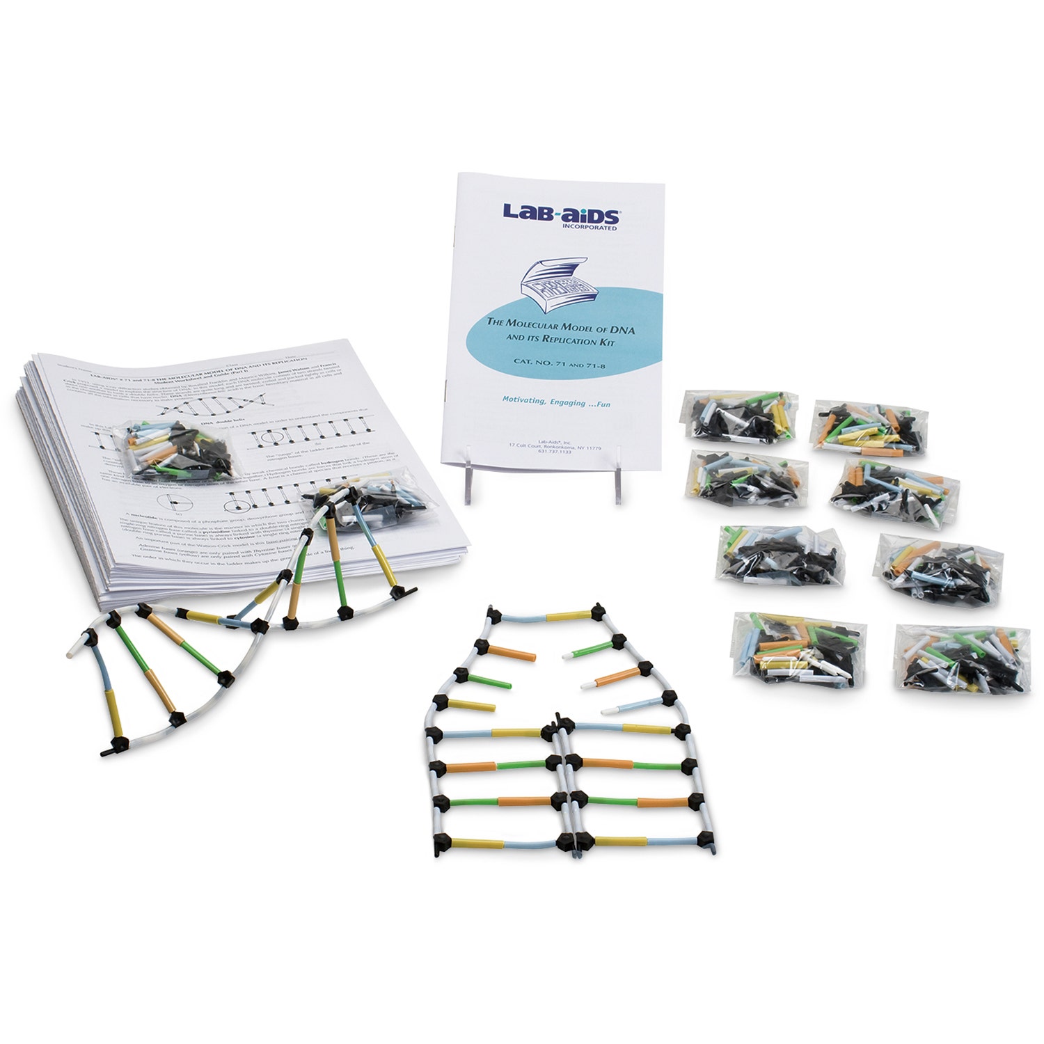 SB14279-Molecular Model of DNA and Its Replication