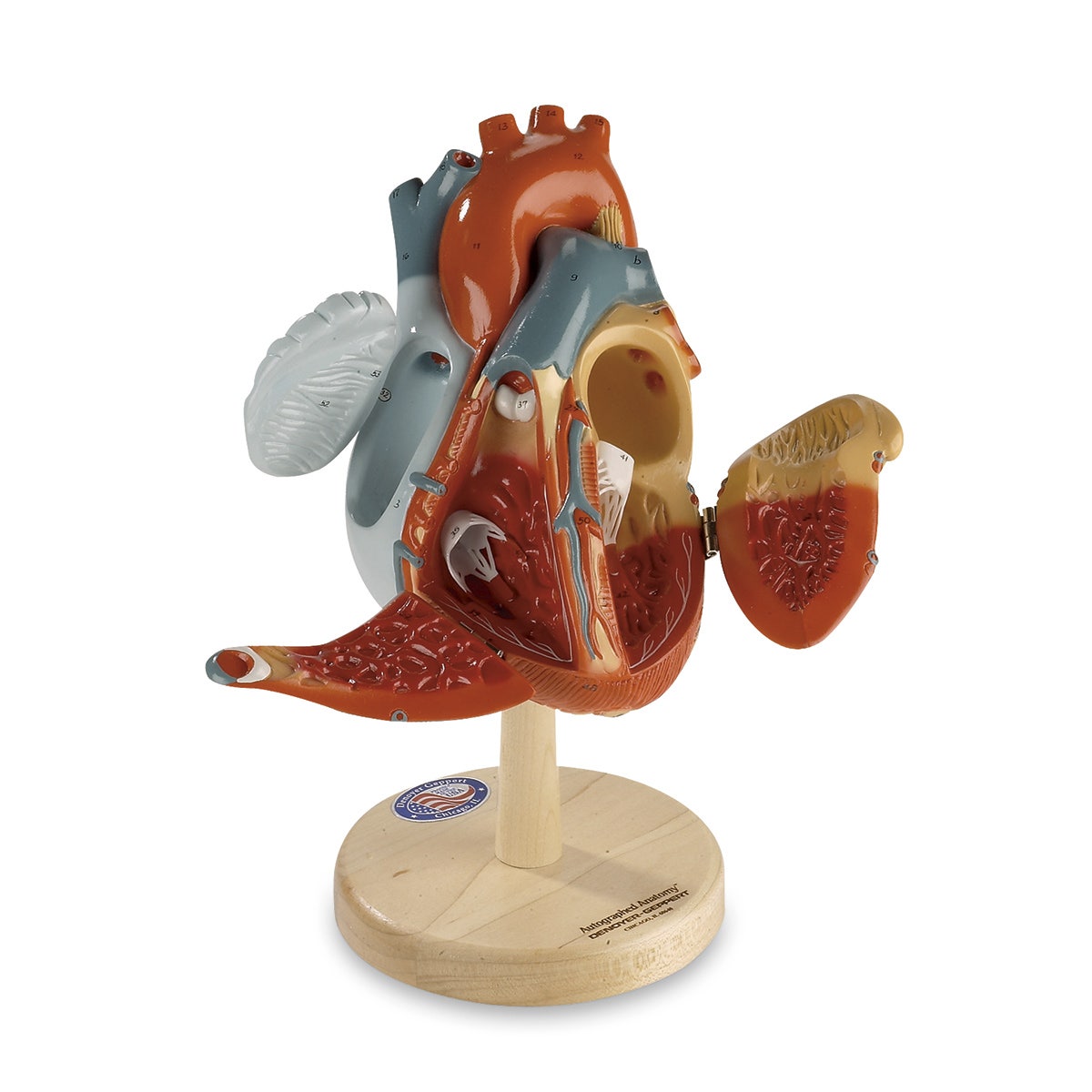SB16051-Denoyer-Geppert Heart of America™