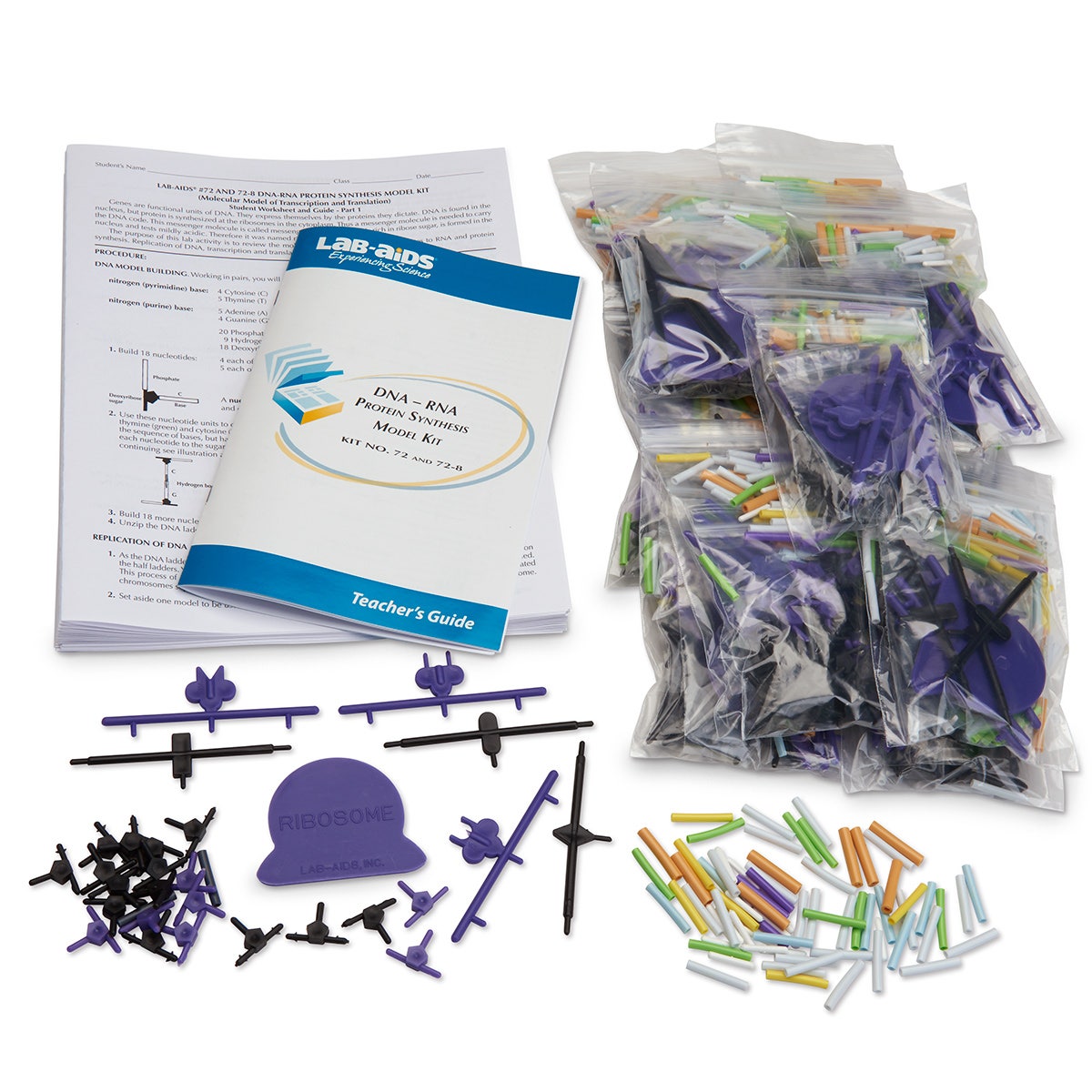 SB20188-DNA/RNA - Protein Synthesis