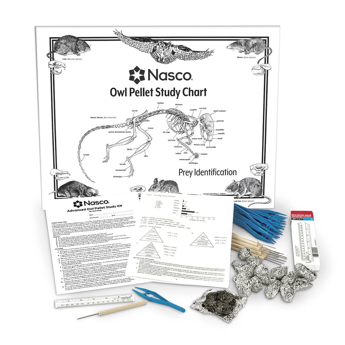 X0000SB20192-Nasco Owl Pellet Kit