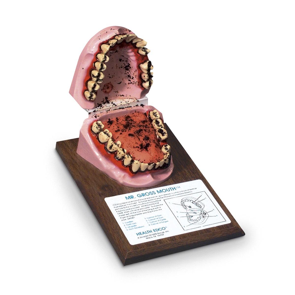 SB22331-Mr. Gross Mouth™