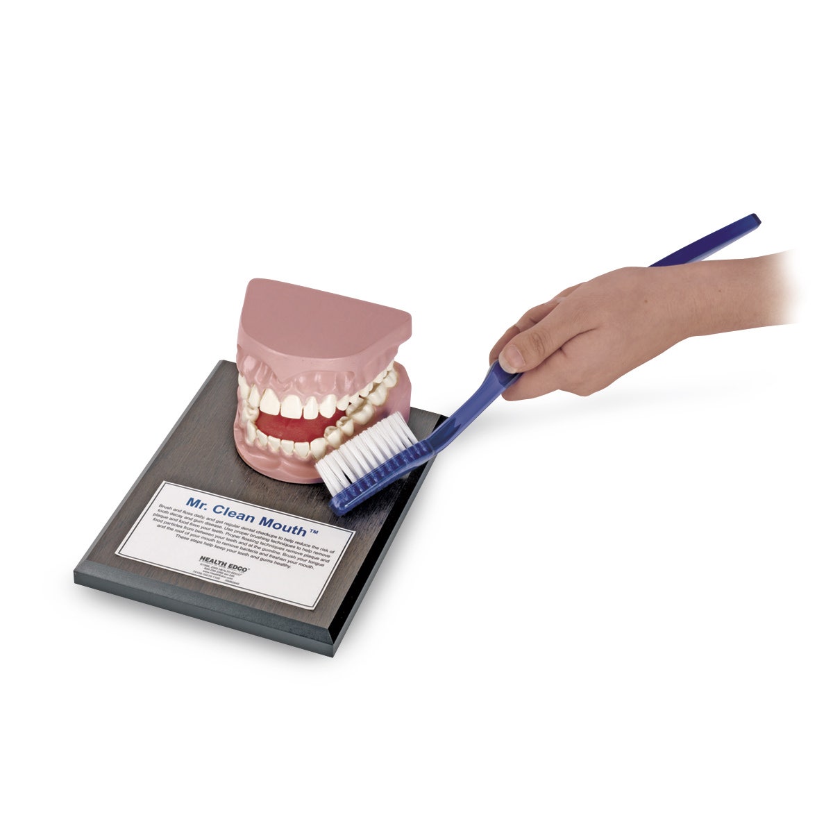 X0000SB23379-Mr. Clean Mouth Tooth Brushing Display