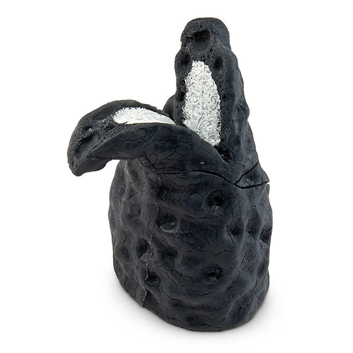 SB23381-Smoked Lung Model